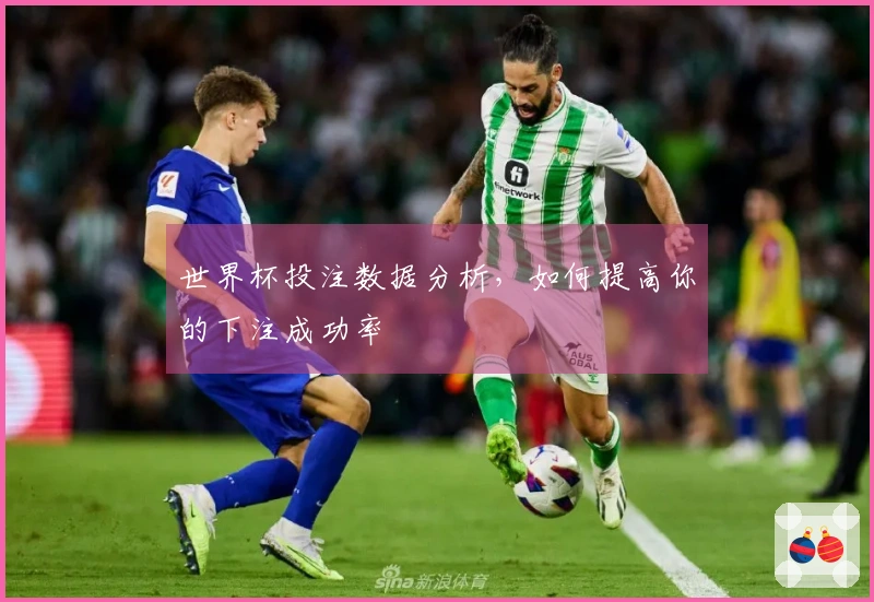世界杯投注数据分析，如何提高你的下注成功率