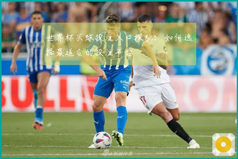 世界杯买球投注入口探秘：如何选择最适合的投注平台