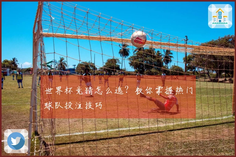世界杯竞猜怎么选？教你掌握热门球队投注技巧