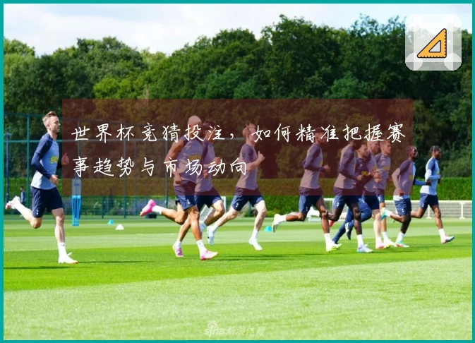 世界杯竞猜投注，如何精准把握赛事趋势与市场动向
